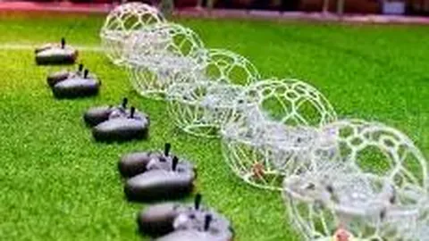 陈忠和独领风骚，女排缺席阅兵代表队引热议