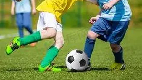 开云体育登录 资讯 083241 29v