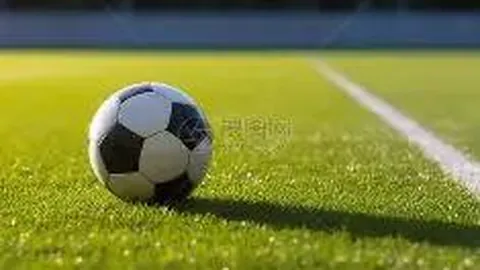 开云体育登录 资讯 083234 qzu