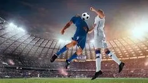 宠物用品安全检测：全面毒理与成分评估