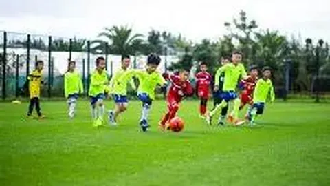 激战正酣！19胜12+NBL佳绩，跳蚁对决破坏者，16时巅峰对决揭秘！